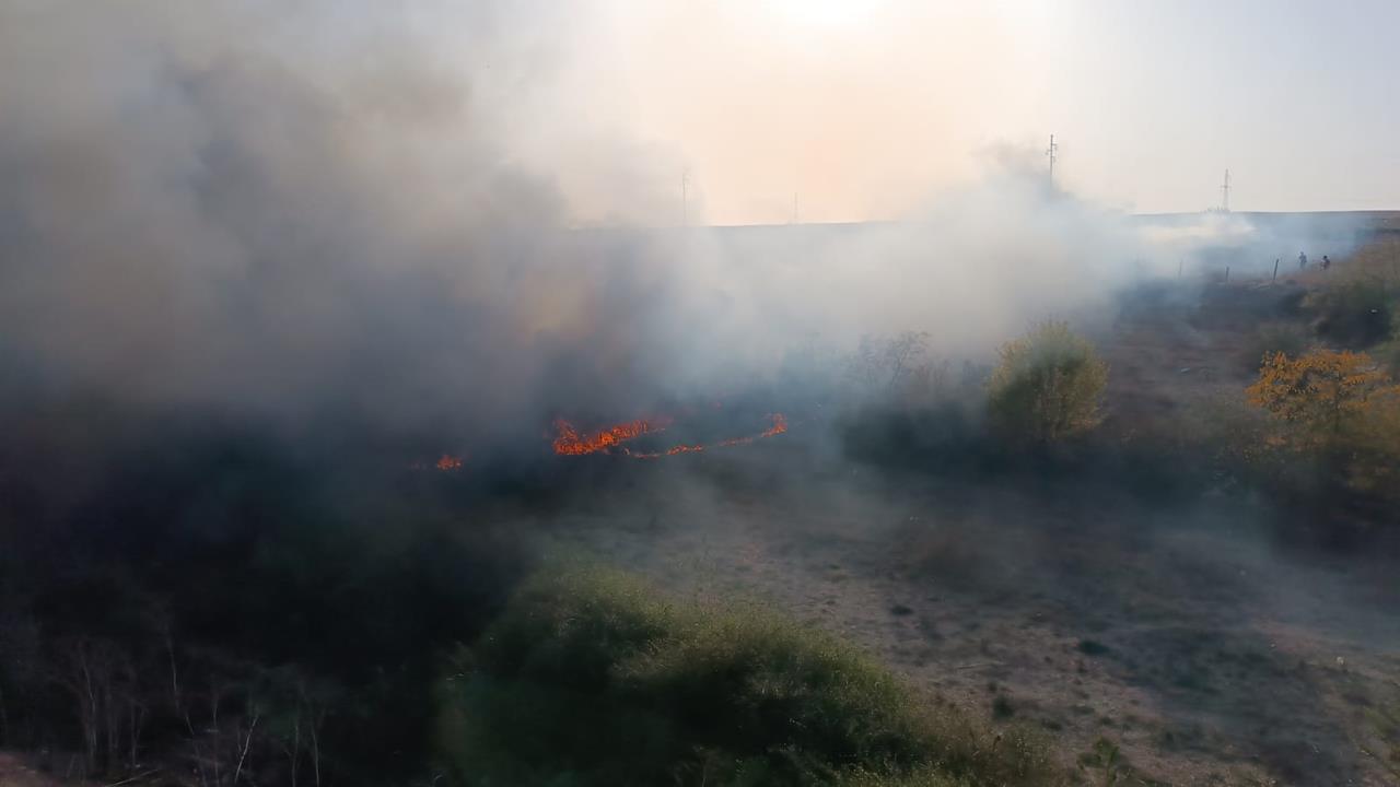 patriarhia-romana-ne-rugam-pentru-salvarea-naturii-si-a-celor-aflati-in-primejdie